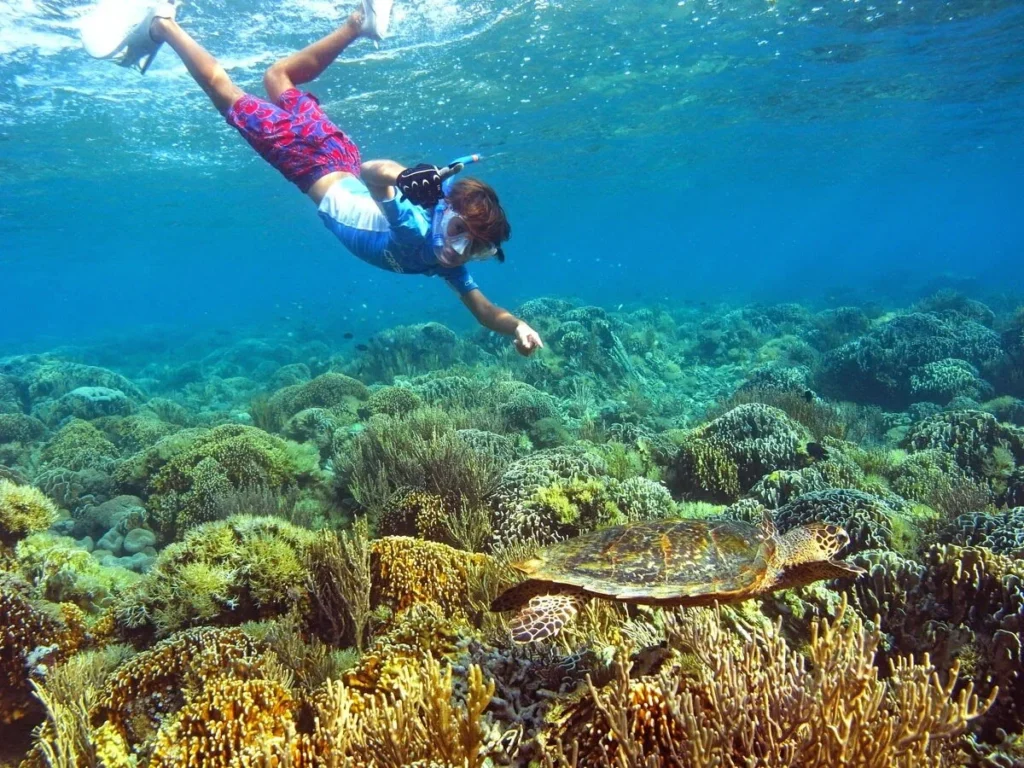 Snorkeling di Kanawa