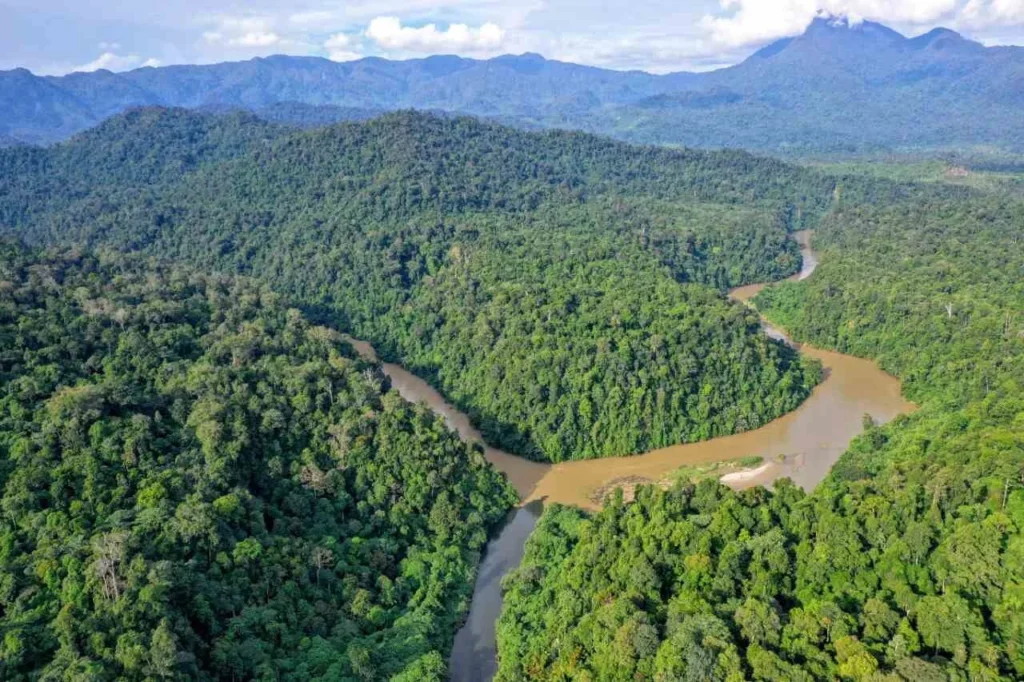 Kawasan Ekosistem Leuser