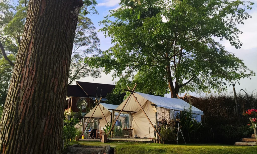 Tenda Glamping 2