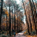 Gunung Pancar Sentul