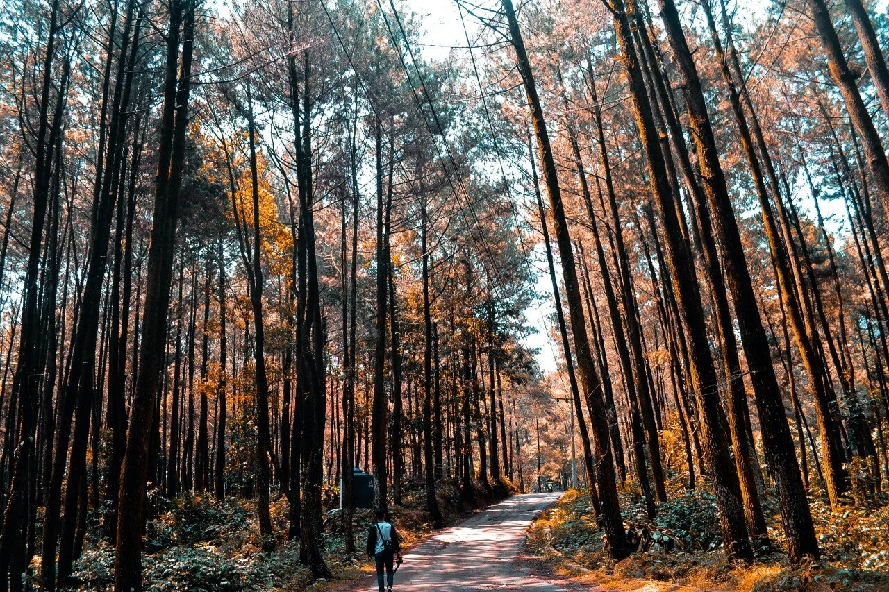 Gunung Pancar Sentul